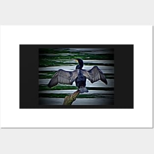 CORMORART Posters and Art